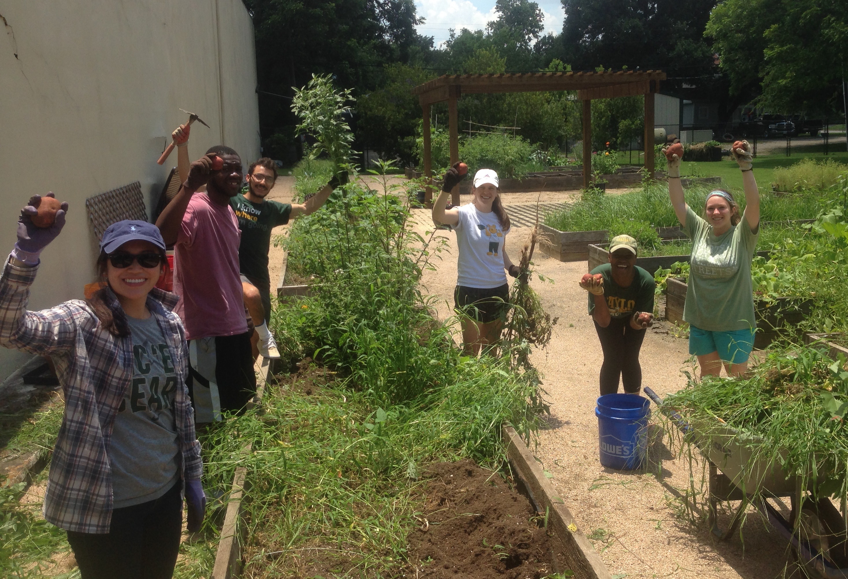 students working in the community garden